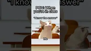 CAT MEMES 🐱 WHEN YOU&rsquo;RE IN CLASS #relatable #cat #funny #school #shorts
