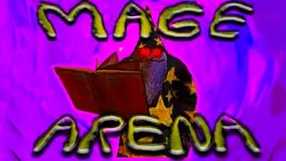 The Mage Arena Experience