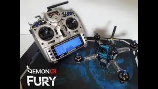 Demon Fury 5X, Freestyle !