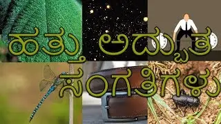 10 amazing  facts  in Kannada