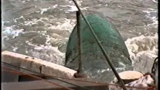 Povah's pirates 7 bouy
