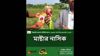 মাষ্টার নাসিক চাষে কৃষকের সাফল্য দেখে হিংসা হবে #nasikonion #shorts #onionfarming #agriculture
