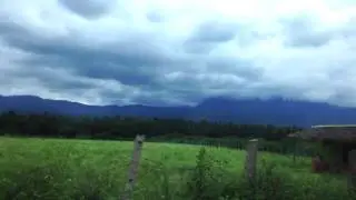 Coimbatore  Forest
