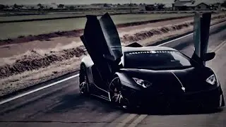 Ava Max - Torn (Boy version) - Lamborghini