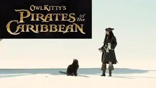 Pirates of the Caribbean - starring my cat OwlKitty