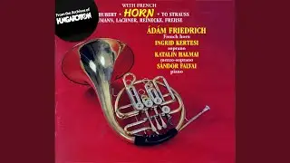 Franz Strauss: NOCTURNO (Andante quasi Adagio)