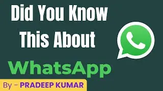 How to Use WhatsApp (Complete Beginner's Guide 2020)