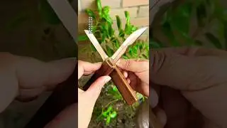 2 in 1 Fruit Knife #knifeskills #kitchenknife #knifereview #fruitknife #2in1 #shorts #knifecommunity
