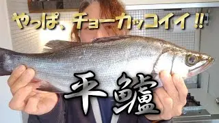 【yossy食堂第41回】ヒラスズキのムニエルとお刺し身の定食