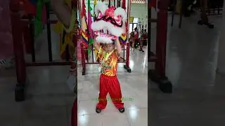 Cậu b&eacute; m&uacute;a l&acirc;n Cute #liondance #mualanongdia #babycute #funny #funnyvideo #muaongdia #tettrungthu