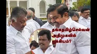 Thanga Tamilselvan to cross over to AIADMK | sicp