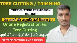 What is the method of cutting a tree? Tree cutting process. How to apply for cutting a tree? Tree...