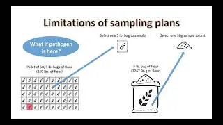 Microbial Sampling Plans