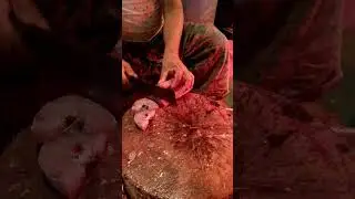 Rohu Fish Cutting Skills in Fish Market | Fish fillets #pomfretfish #fishcuttingskills #fishcutting