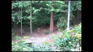 NorCal Disc Golf Road Trip