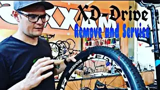 How to remove XD Driver and service it.