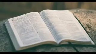 Mark 3:1-19: Will You Risk the Hostile Stare? (20/01/26)