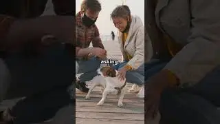 Don&rsquo;t Touch My Dog  Just Don&rsquo;t #dogtraining #dogtrust #dogtrauma #dogbehavior #doglife #dogs