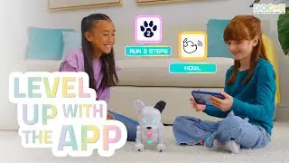 Dog-E&rsquo;s PAW-SOME App | Dog-E How-To #4: The App