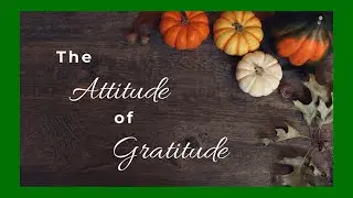 Daily Gratitude Devotion