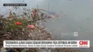 Air Sungai Cisadane Tercemar Limbah Berbahaya