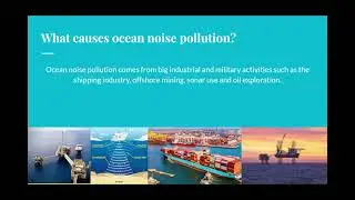 Ocean Noise Pollution   Google Slides   Opera 2024 08 01 21 12 25