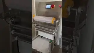Vacuum skin pack tray sealer, 盒裝食品貼體包裝封口機  