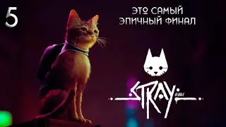 Stray. Это эпически трогательный финал. #stray #straycat  #борода #bigbeardgamer