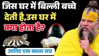 अगर आपके भी घर में बिल्ली बच्चे देती है तो हो जाओ सावधान | Premanand Ji Maharaj