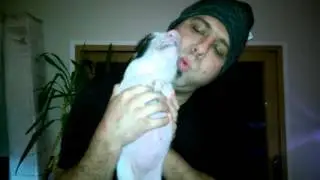 Screaming pig, and she cried wee wee wee all the way home.