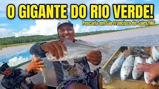 O GIGANTE DO RIO VERDE! Pescaria em S&atilde;o Francisco de Sales..