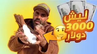 هذا المزهور الكشكي ترند الموسم سعره 3000 دولار 😱 اجاني هديه 🤔🔥