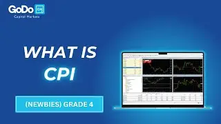 Understanding CPI (Consumer Price Index) : Lesson 57
