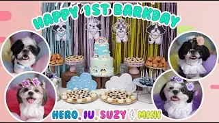 Mini Balbons' 1st BARKDAY CELEBRATION