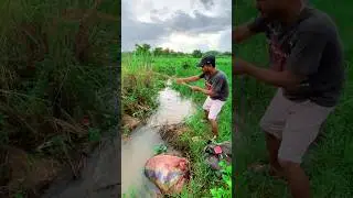 If you want to catch Big MONSTER Catfish you should follow the village fisherman