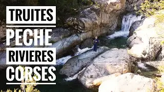Corse: Pêche de truites fario dans une rivière de montagne #flyfishing