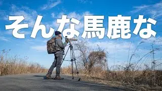 ハイイロチュウヒが見たい！農耕地は猛禽パラダイスのはず...！！