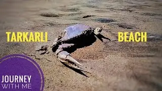 TARKARLI , KOKAN - Varad Lad