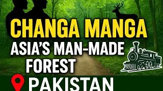 Changa Manga: Asia&rsquo;s Largest Man-Made Forest is in Pakistan! |Forest.