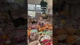 Hmmm #pusheen #plush #cat #kitty #cute #kawaii #collection #impostor #catvideos #squishy