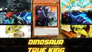 True King Dinosaur Deck Profile Post Structure Deck April 2017