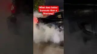 Want to see more videos like this? Make sure you subscribe 🗣️ #cars #burnout #mustang #carmeet
