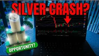 Silver Crash Alert: 50% Drop Coming? Get the Facts Now! LIVE! 🚨💰