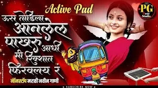 उसतोडिला आनलेल पाखरु आधि मि रिक्शात फिरवलय रं मराठी नादखुळा नॉनस्टॉप बँन्जो गाणी🤩🎶🥰nonstop banjosong