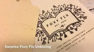 Surprise Foxy Fix Unboxing