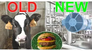 Lab grown meat; Food for Thought for NZ Dairy and Animal Farmers