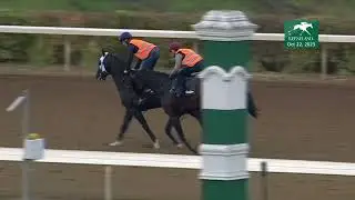 Proxy Works at Keeneland - October 22, 2023