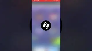Санчес 91