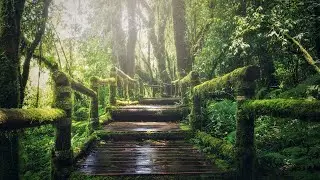 Morning Relaxing Music - Positive Feelings and Energy #3#The beauty of calm