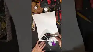 Making Steampunk Insect Art